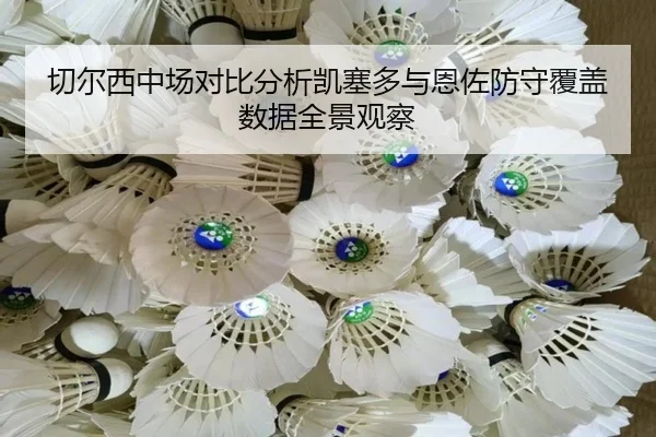 切尔西中场对比分析凯塞多与恩佐防守覆盖数据全景观察