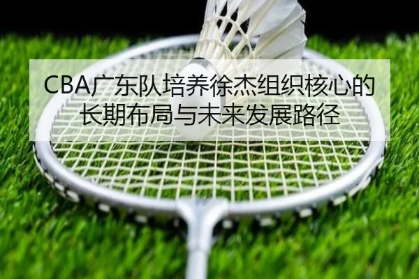 CBA广东队培养徐杰组织核心的长期布局与未来发展路径 - kaiyun